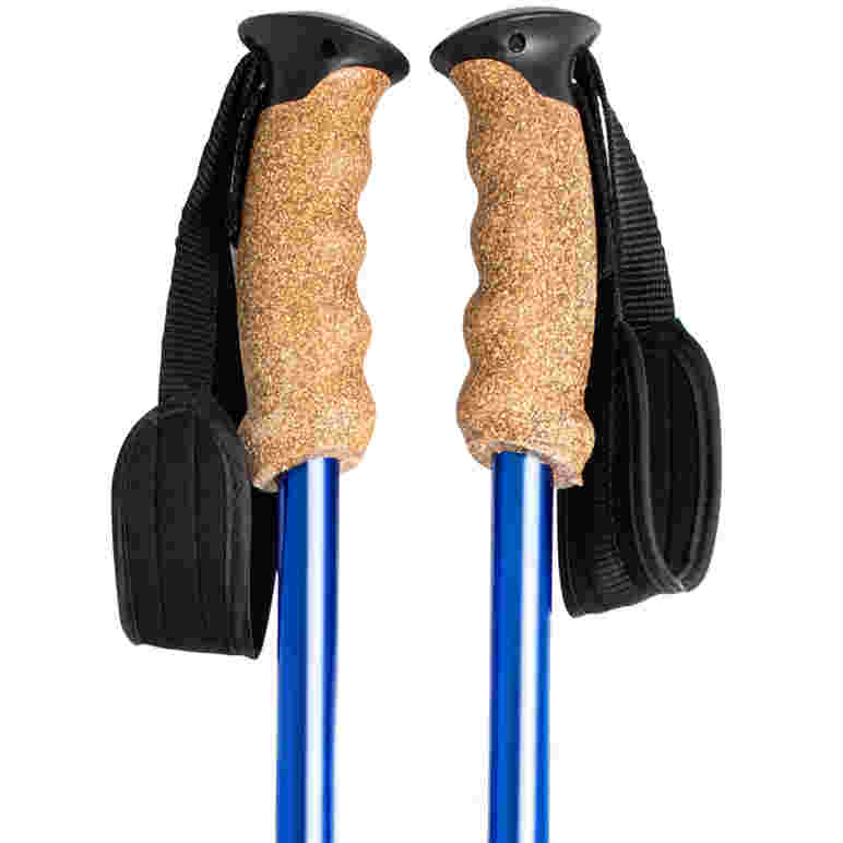 Stangicy trekking poles