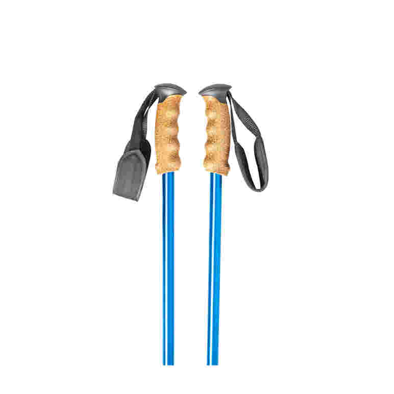 Stangicy trekking poles