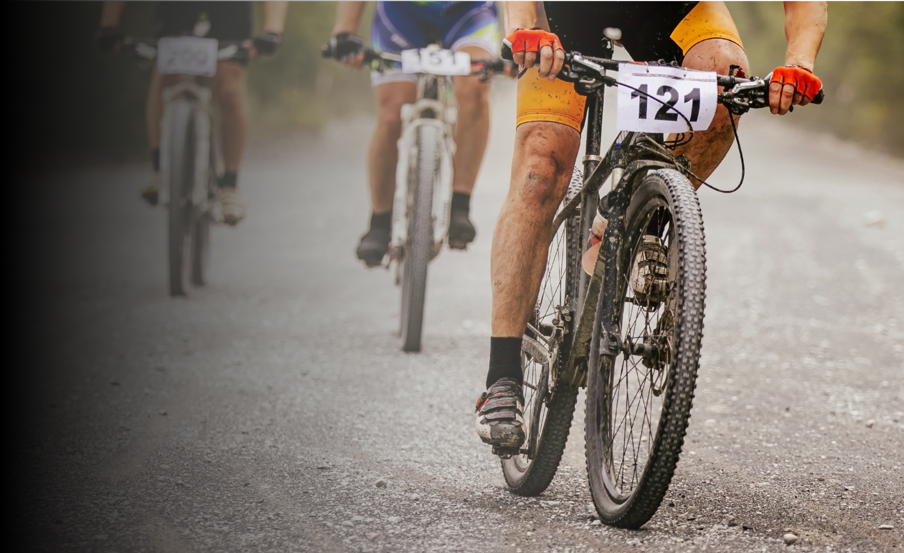 Three Mountain Bike Racers
