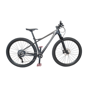Iropa Mountain Bike